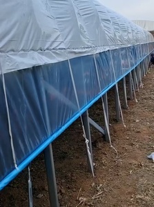 Invernadero Agrícola de Doble Capa y Gran Tamaño para Zonas Rurales, con Techo Inflable y Ventilación Superior, Material PE Tipo Diente de Sierra, Suministrado desde China - Product Image 5