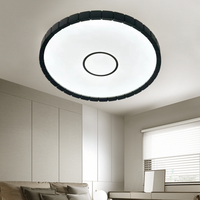 Dimmable Remote Led Plafonniers Ultra Mince Plafonnier Intérieur Salon Rond Led Lumière Plafond