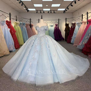 Robe de bal de Quinceañera exclusive bleu ciel avec appliques de perles et cristaux, traîne chapelle, longueur ras du sol, pour fête des 15 ans - Product Image 2