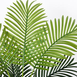 Vente en gros Grand palmier artificiel vert pour décoration de salon Grande plante artificielle de <span class=keywords><strong>luxe</strong></span> en matériau PE - Product Image 4