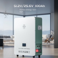Batterie de stockage d'énergie domestique 51,2 V, grande capacité, batterie solaire photovoltaïque, coque en aluminium, montage mural, batterie LiFePO4