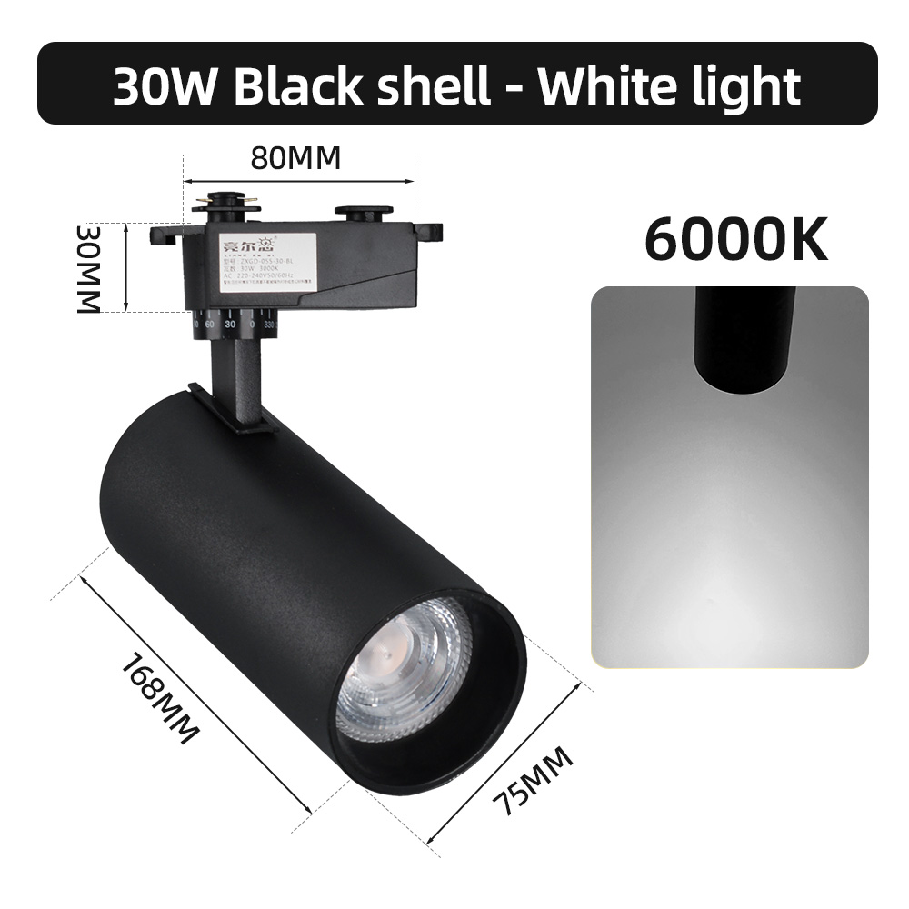 30W Noir -6000K