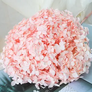 sakura dry flower arrangements preserved hydrangea other decorative flowers and plants for wedding decoration home decor