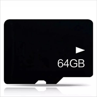 128GB Schneller Versand OEM Anpassbares Logo Großhandel Original Netac Volle Kapazität Hochgeschwindigkeits-Mini-TF-SD-Karte U3 Speicherkarte für Geräte