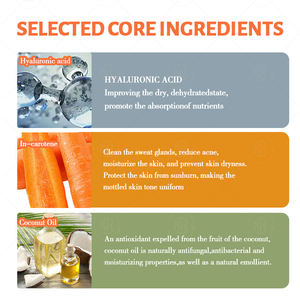 مجموعة جلد فيتامين سي بشعار مخصص كريم تقشير سيروم كومبو لترطيب البشرة لوشن الجسم مجموعة العناية بالبشرة بالجزر - Product Image 2