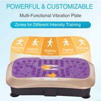 Plaque vibrante verticale électrique personnalisée compacteur complet du corps machine de plaque vibrante de fitness de puissance