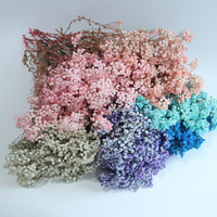 Fleurs séchées de Gypsophile (Souffle de Bébé) préservées 60 cm pour Bouquet DIY, Centre de Table Mariage, Décoration Maison Thanksgiving