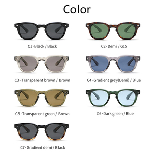 Gafas de Sol Sunray New Vintage Demi TR90 con Montura G15 y Lentes TAC UV400, Fabricante Mayorista de Gafas de Sol Polarizadas con Logotipo Personalizado - Product Image 5