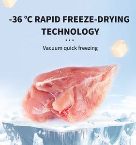 Pollo seco a granel sin granos para gatos, alimentos secos congelados, pollo liofilizado, golosinas para gatos - Product Image 3