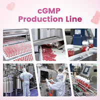 Gummies de protéines de lactosérum isolées sans sucre et sans glucides pour la croissance musculaire, marque privée OEM, pour la remise en forme et la musculation