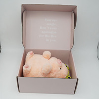 Ensemble de jouets pour chiens en peluche d'expédition rose personnalisée boîtes emballage boîte à jouets en peluche