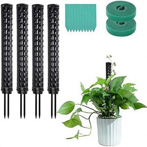 Petit poteau en mousse recouvert de plastique pour Monstera et plantes grimpantes - Support pour plantes de serre - Product Image 1