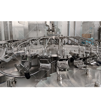 Chaîne de Production Complète pour Remplissage Automatique et Bouchage de Petites Bouteilles d'Eau pour Usine Clé en Main