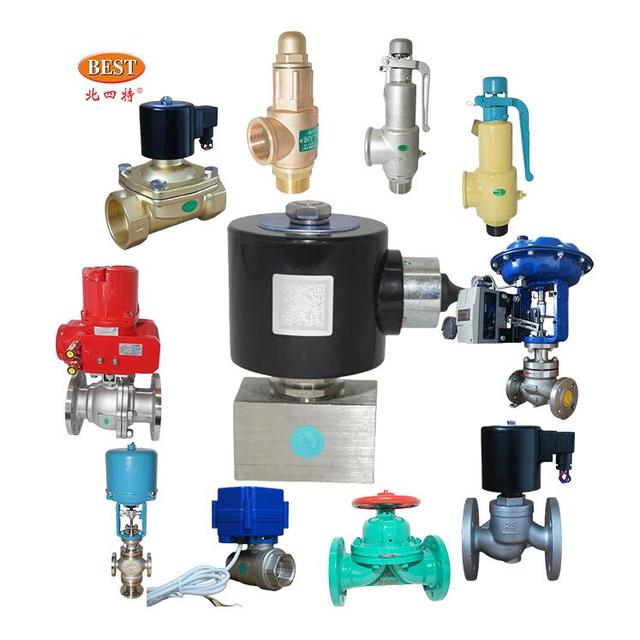 BEST Valve Z371 Stainless Steel Z371 Brass Series 2/2 Way Pilot Operated Piston Type Steam Solenoid Base