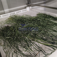 Machine de séchage à pompe à chaleur pour feuille de laurier thym ensilage feuilles de thé à la menthe poivrée sécheur déshydrateur