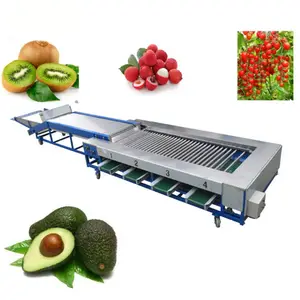 High Quality Big Capacity 3-10t Fruit Vegetable Processing Machine Fruit Size Sorting Machine