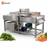 Hoge kwaliteit fruit- en groentewasmachine industriële reinigingsapparatuur