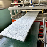 Ligne de production de matelas industriels avec système de contrôle PLC, haute productivité, production en série, matériaux POE