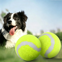 Balle de tennis pour chien, jouet à mâcher pour animaux de compagnie, balle d'entraînement très élastique pour nettoyer les dents du chien, jeu interactif