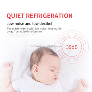 <span class=keywords><strong>4</strong></span>つのガラスドアフラワーディスプレイキャビネットクーラーフレッシュキーピング冷凍冷蔵フローラルディスプレイウォークインクーラー花屋用 - Product Image 5