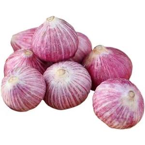 Zhh yunnan बैंगनी त्वचा युक्त एकल लहसुन ताजा और उच्च गुणवत्ता वाले सूखे लहसुन ताजा लहसुन की सब्जियां - Product Image 2