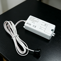 Détecteur infrarouge PIR, capteur de contact de porte, interrupteur AC110-240V, charge max. 800W, montage encastré, utilisation intérieure, commande automatique pour éclairage LED