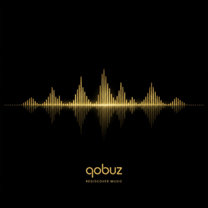 Suscripción de 1 Mes a Qobuz Hi-Res Music Streaming, Cuenta Privada Studio Premier <span class=keywords><strong>para</strong></span> <span class=keywords><strong>Mac</strong></span> Global - Product Image 5