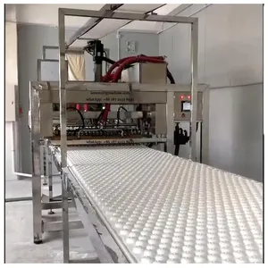 व्यापक हलाल फल स्वाद लंबे मोड़ marshmallow साइट पर स्थापना सेवा के साथ बनाने की मशीन