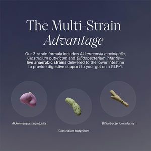 Cápsulas de probióticos de etiqueta privada de los suplementos de la hormona contra el hambre para mantener un peso saludable y un peso saludable - Product Image 5