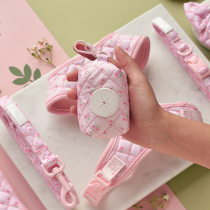 Conjunto de Collar y Correa Personalizados para Cachorros, Arnés Acolchado de Neopreno para Perros - Product Image 3