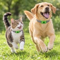Colliers apaisants personnalisés avec boucles et huiles essentielles pour animaux de compagnie, parfum longue durée, soulagement de l'anxiété pour chiens et chats