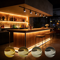 Bande LED COB à courant constant ultra longue en cuivre, 50 pieds (20m) 30m avec stabilisateur intégré, CRI>90, dimmable pour un éclairage fluide