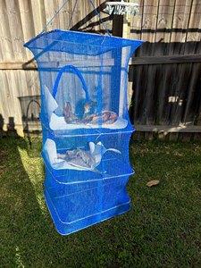 1/5 Layers Foldable Drying Fishing Net Hanging Vegetable Fish Dishes Dryer Bag <strong>Hanger</strong> Fish Fishing Flowers Buds <strong>Plants</strong> Organizer - Product Image 6