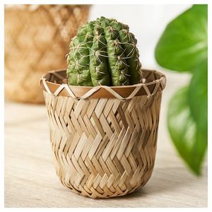 <span class=keywords><strong>Pot</strong></span> de plante en <span class=keywords><strong>bambou</strong></span> naturel du Vietnam, écologique, meilleur <span class=keywords><strong>prix</strong></span>, haute qualité, best-seller, pour plante décorative, table d'appoint - Product Image 4