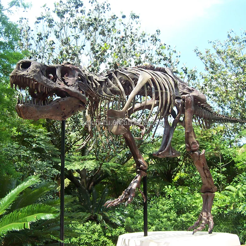 Музей заказной в натуральную величину скелет динозавра модель T-rex окаменелость для продажи