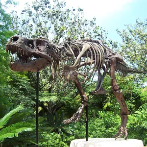博物馆定制真人大小恐龙骨架模型霸王龙化石出售