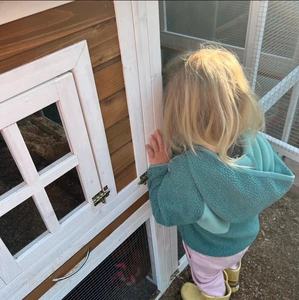 Açık ahşap kafesleri büyük tavuk run ev kafes ahşap tavuk kümesi - Product Image 4