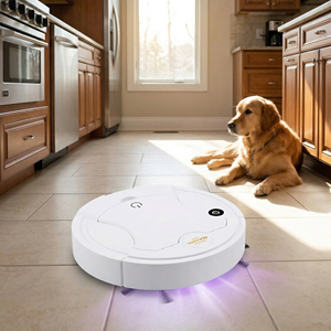 Smart Household <b>Sweeping</b> <b>Robot</b> Vacuum Cleaner with Mopping Function Small Home Appliance Factory Wholesale - Product Image 5