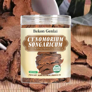 Beber água infundida com Cynomorium Songaricum por um longo tempo pode tonificar o yang do rim e enriquecer essência e sangue - Product Image 3