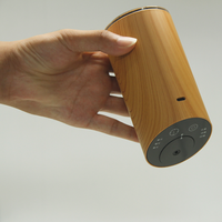 Diffuseur d'huiles essentielles USB pour voiture, design sans eau, avec garantie d'un an, rechargeable