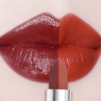 Cosmétiques en gros HUASURV, rouge à lèvres brillant hydratant longue durée 6 couleurs 2 en 1, vitamine E, dégradé bicolore en une seule application