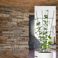 Treillis métallique pour plantes en pot, treillis de support pour plantes grimpantes à bord festonné, treillis de jardin pour la lierre, le clématite et les plantes en pot