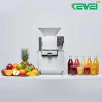 Automatische RVS industriële sinaasappelsapcentrifuge citrus citroen ananas sapcentrifuge