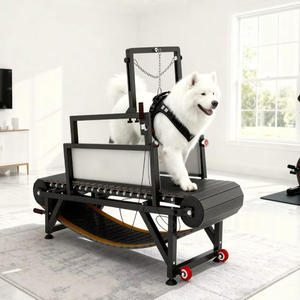 Tapis roulant pour chiens <span class=keywords><strong>de</strong></span> <span class=keywords><strong>taille</strong></span> <span class=keywords><strong>moyenne</strong></span>/grande - Exercice silencieux, entraînement <span class=keywords><strong>de</strong></span> la résistance et <span class=keywords><strong>de</strong></span> la musculature des pattes, fonctionnement intelligent, design multi-styles et tendance - Product Image 1