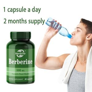 Cápsulas de Berberina de Venta Caliente OEM/ODM para Adultos, Suplementos Herbales, Apoyo Inmunológico, Berberina Pura - Product Image 4