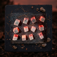 Produit indonésien : charbon de bois organique supérieur fabriqué à partir de coquilles de noix de coco pour la shisha et le narguilé.