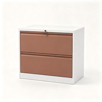 Armoire de classement mobile en acier bicolore avec cadre blanc et porte marron, 2 tiroirs verrouillables, serrure à 3 points, conception latérale large pour écoles et gymnases