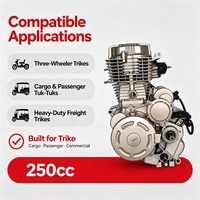 Ensemble moteur CG250 4 temps refroidi par air CDI pour tricycle, neuf, directement de l'usine OEM