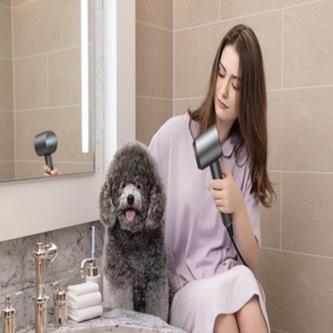 Hot Selling <strong>Electric</strong> Foldable Salon Hair <strong>Dryer</strong> with DC Motor Ionic High-Speed Metal Cover for Home and Hotels Use - Product Image 5