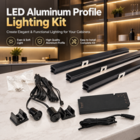 Kit Lampu LED untuk Lemari Dapur (3pcs) dengan Transformator dan Sakelar Sensor Pintu Ganda YB1015TZ-21